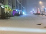 Photo #16201