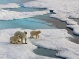 Photo #16722